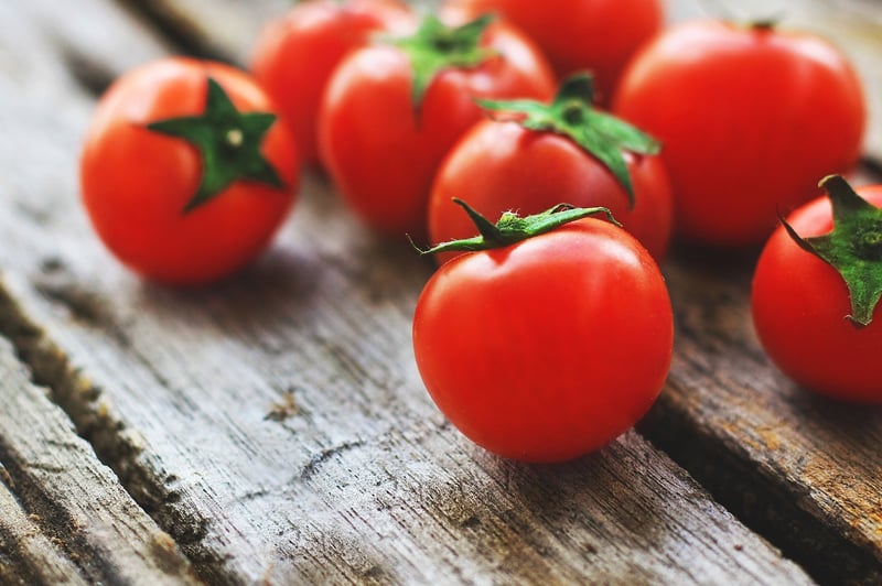 Fresh Tomatoes