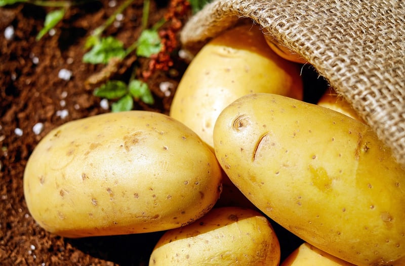 Fresh Vegetables
